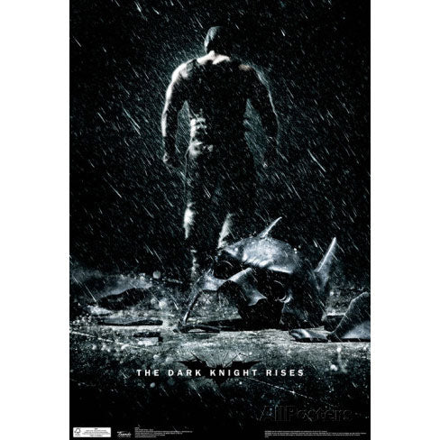 Batman Dark Knight Domestic Poster