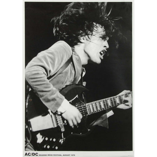 AC/DC Rock Festival Import Poster