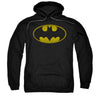 Washed Bat Logo Hooded Sweatshirt