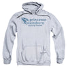 Princeton Plainsboro Hooded Sweatshirt