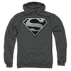 Super Metallic Shield Hooded Sweatshirt