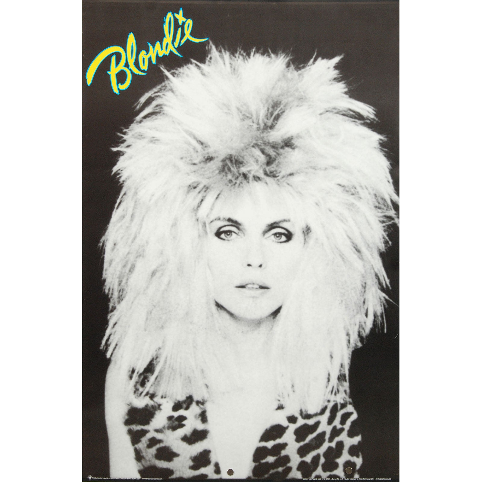 Blondie Hair Domestic Poster