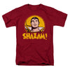 Shazam Circle T-shirt