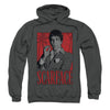 Tony Hooded Sweatshirt