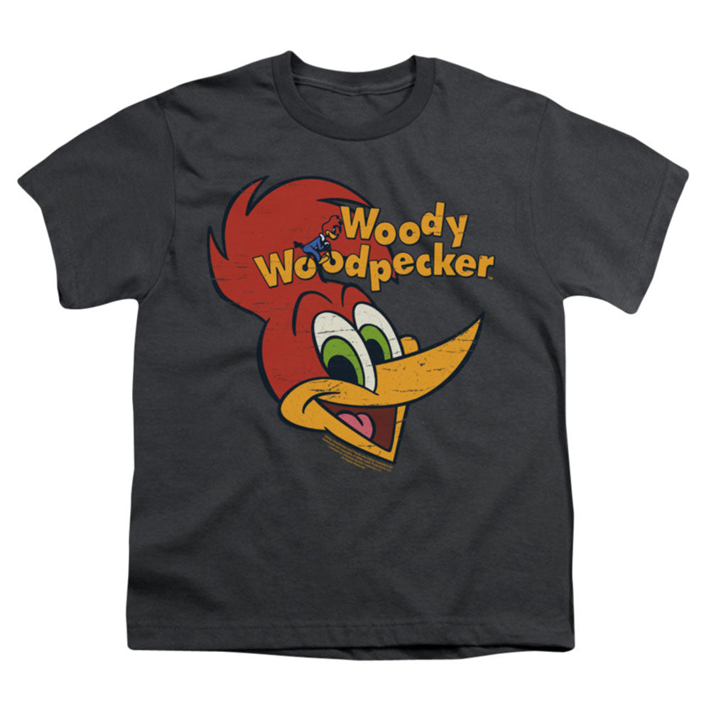 Woody Woodpecker Retro Logo T-shirt
