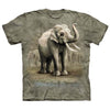 Asian Elephants T-shirt