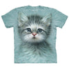 Blue Eyed Kitten Small T-shirt