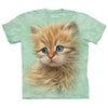 Kitten Portrait Small T-shirt