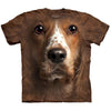 Welsh Springer Spaniel S T-shirt