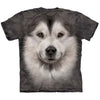 Alaskan Malamute Face S T-shirt