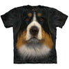 Bernese Mountain Dog S T-shirt