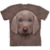 Weimaraner Puppy T-shirt