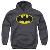 Classic Bat Logo Hooded Sweatshirt