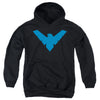 Nightwing Symbol Hooded Sweatshirt