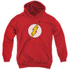 Flash Logo Hooded Sweatshirt
