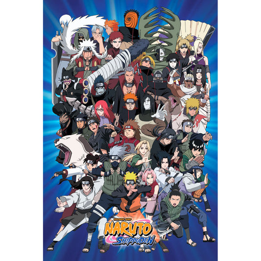 Naruto Characters Domestic Poster