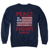 Peace Now Sweatshirt