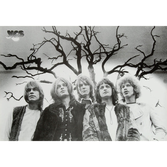 Yes Import Poster