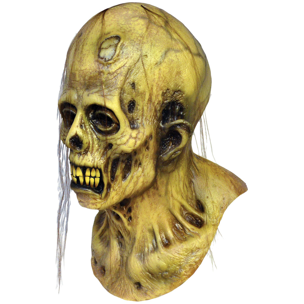 The Haunt Of Fear Ghastly Zombie Mask
