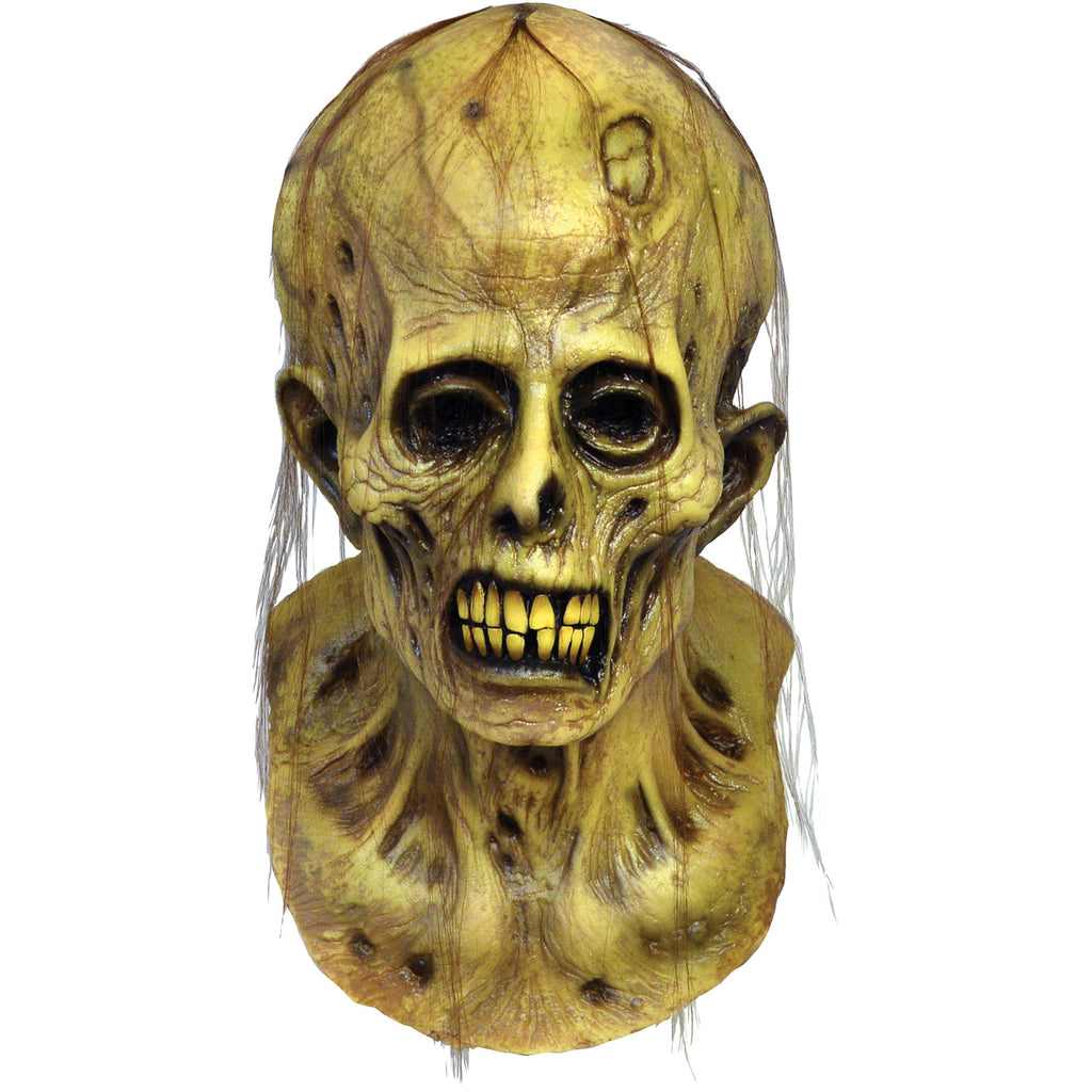 The Haunt Of Fear Ghastly Zombie Mask