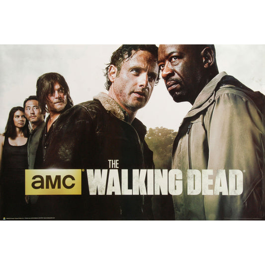 Walking Dead Season 6 Domestic Poster
