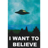 I Want To Believe Domestic Poster