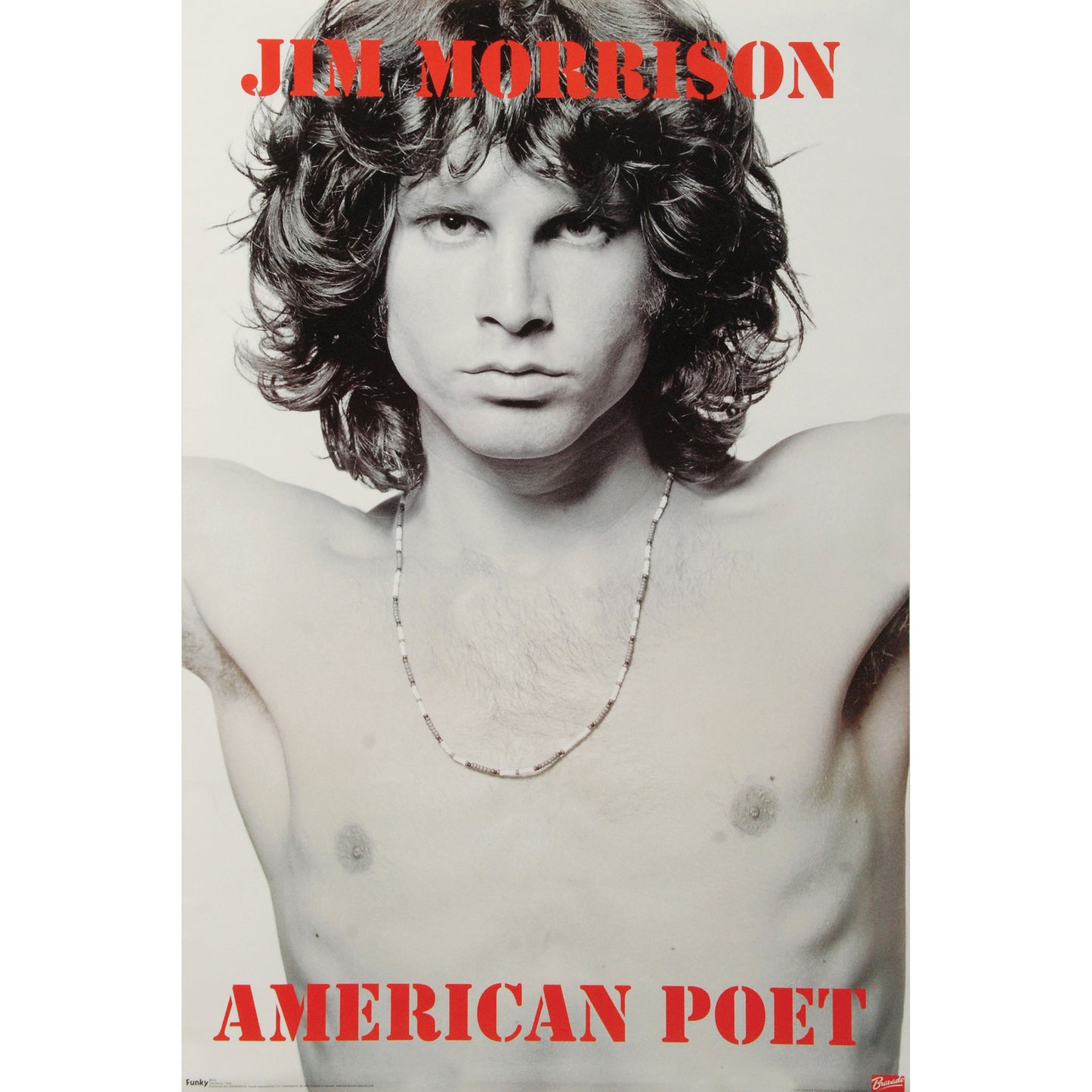 Doors Poet Domestic Poster