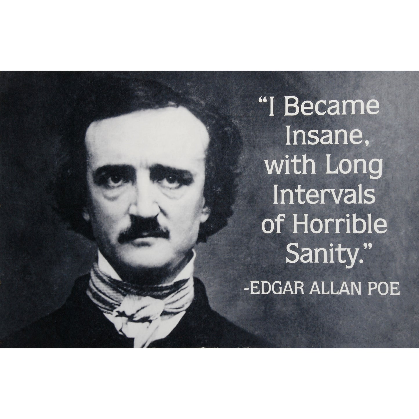 Edgar Allan Poe Quote Domestic Poster