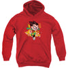 Robin Hooded Sweatshirt