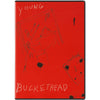 Young Buckethead, Vol. 1 DVD