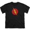 Reverse Flash Youth T-shirt