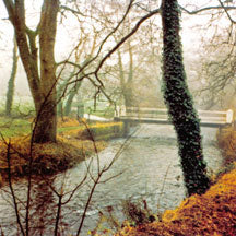 Manhattan Tuesday: Afternoon Of Insensitivity DVD