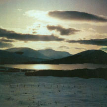 Chicago Wednesday DVD