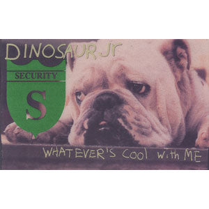 Dinosaur Jr Laminated Backstage Pass
