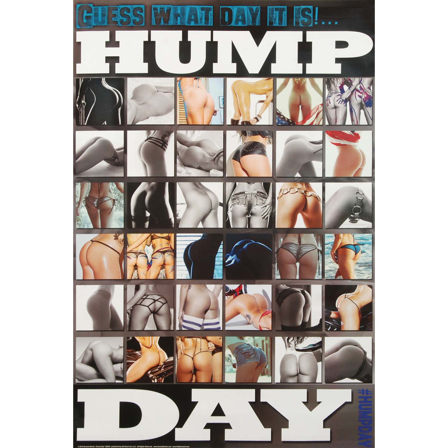 Daveed Benito Hump Day Domestic Poster