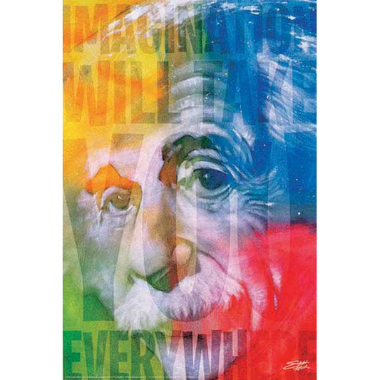 Albert Einstein Imagination Domestic Poster