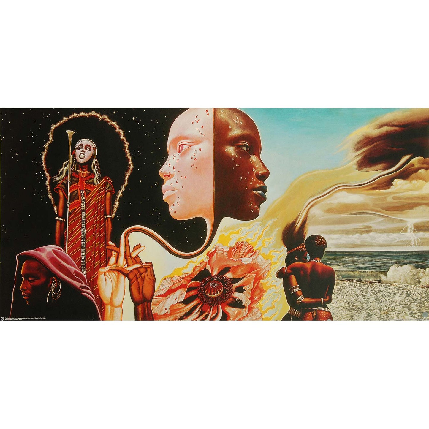 Bitches Brew Domestic Poster