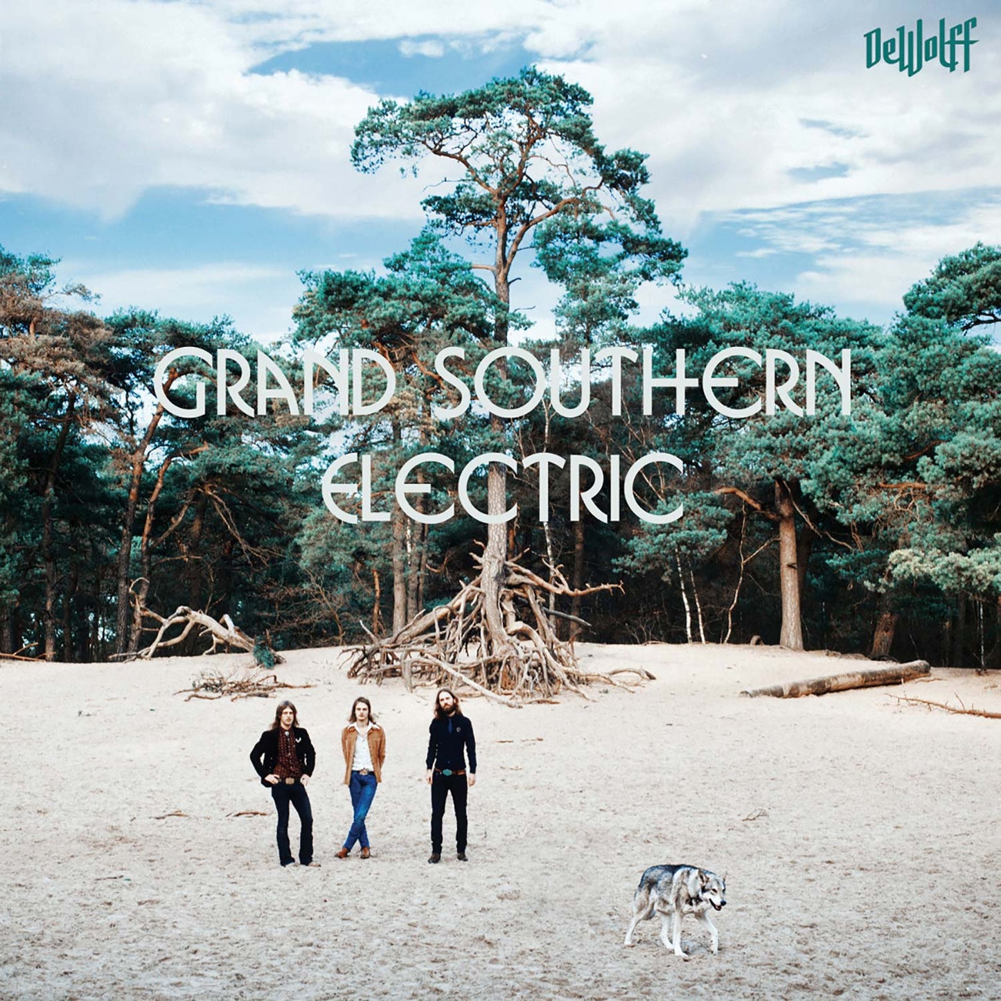 Dewolff Dewolff Grand Southern Electric Vinyl
