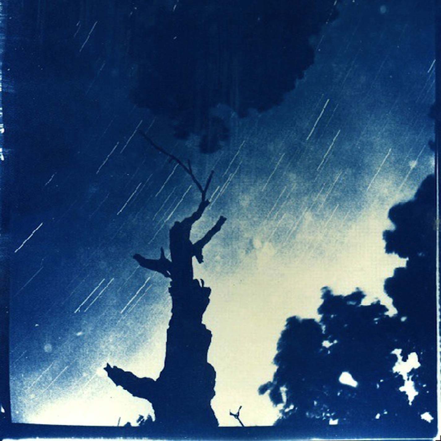 Dragon Turtle/Goodnight Stars Goodnight Air Split Vinyl