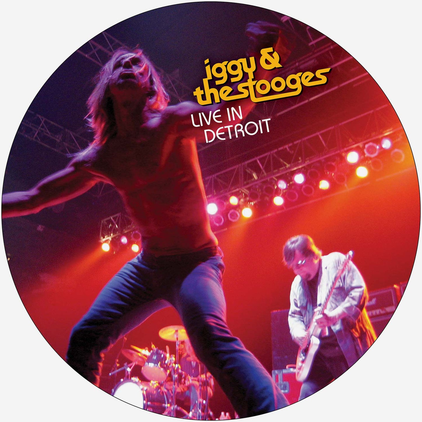 Iggy and The Stooges Iggy and The Stooges Live In Detroit 2003 PictureDisc Vinyl