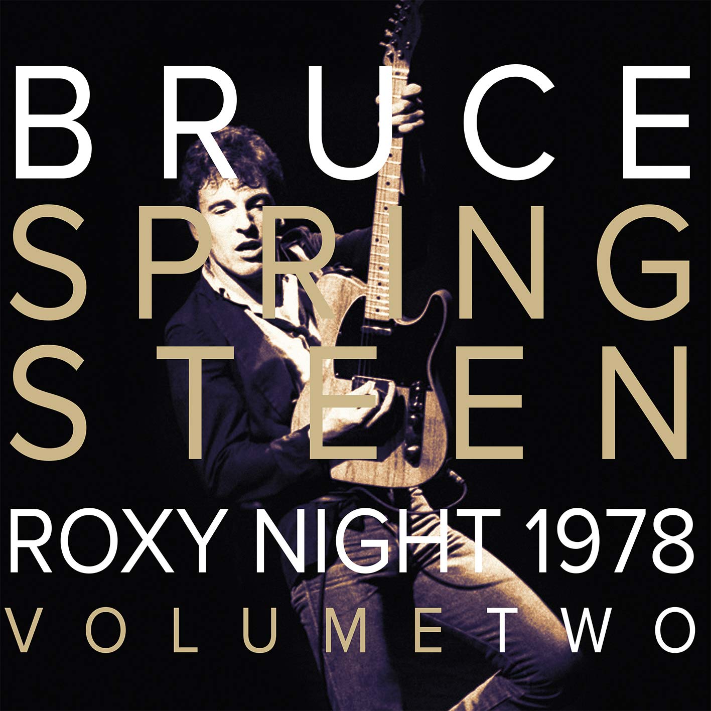 Bruce Springsteen 1978 Roxy Night Vol 2 Vinyl