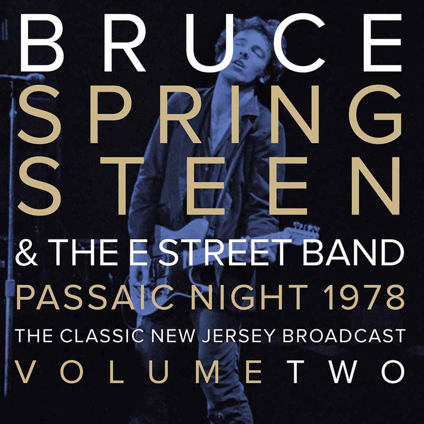 Bruce Springsteen Passaic Night, New Jersey 1978: Vol. 2 Vinyl