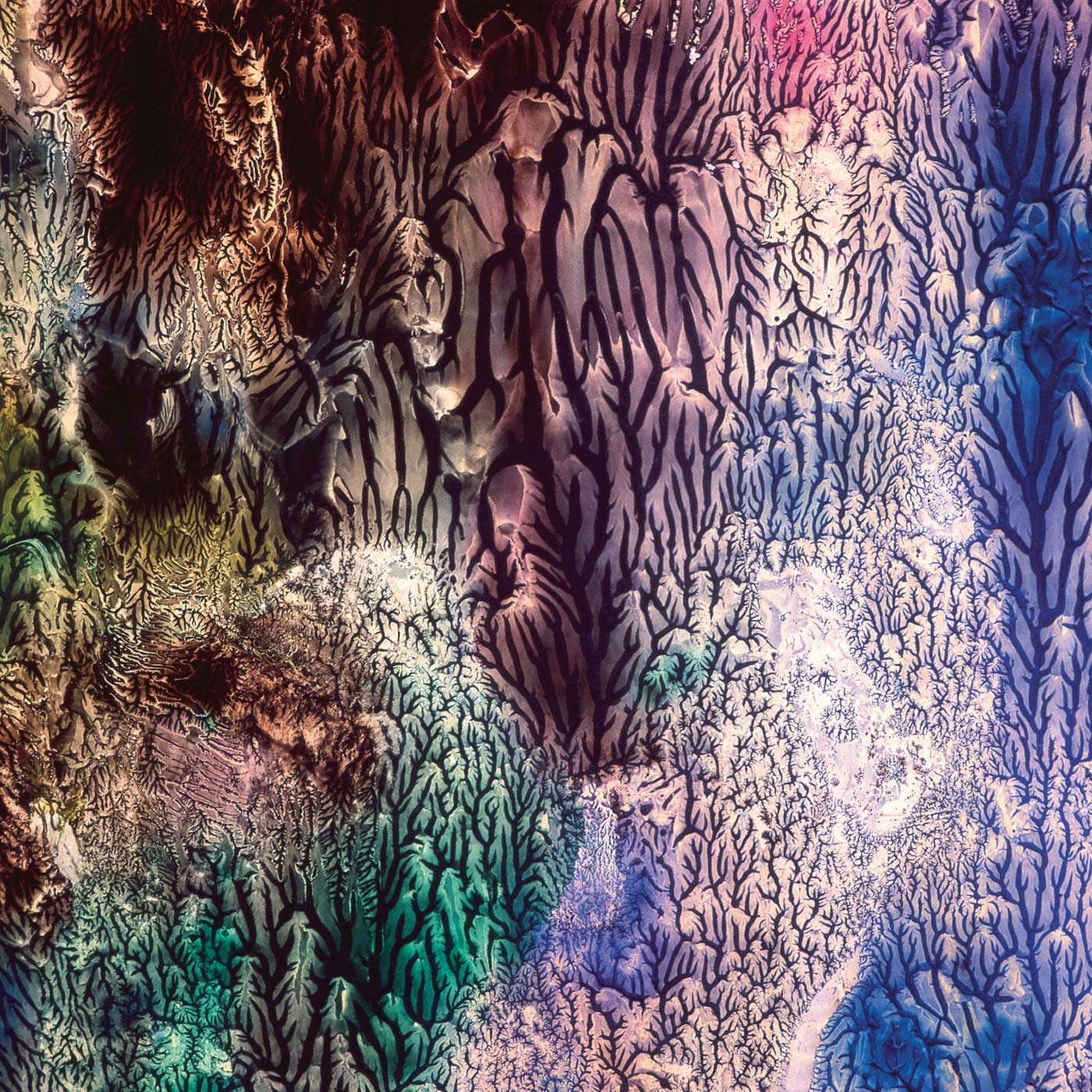 Womb Womb Vinyl