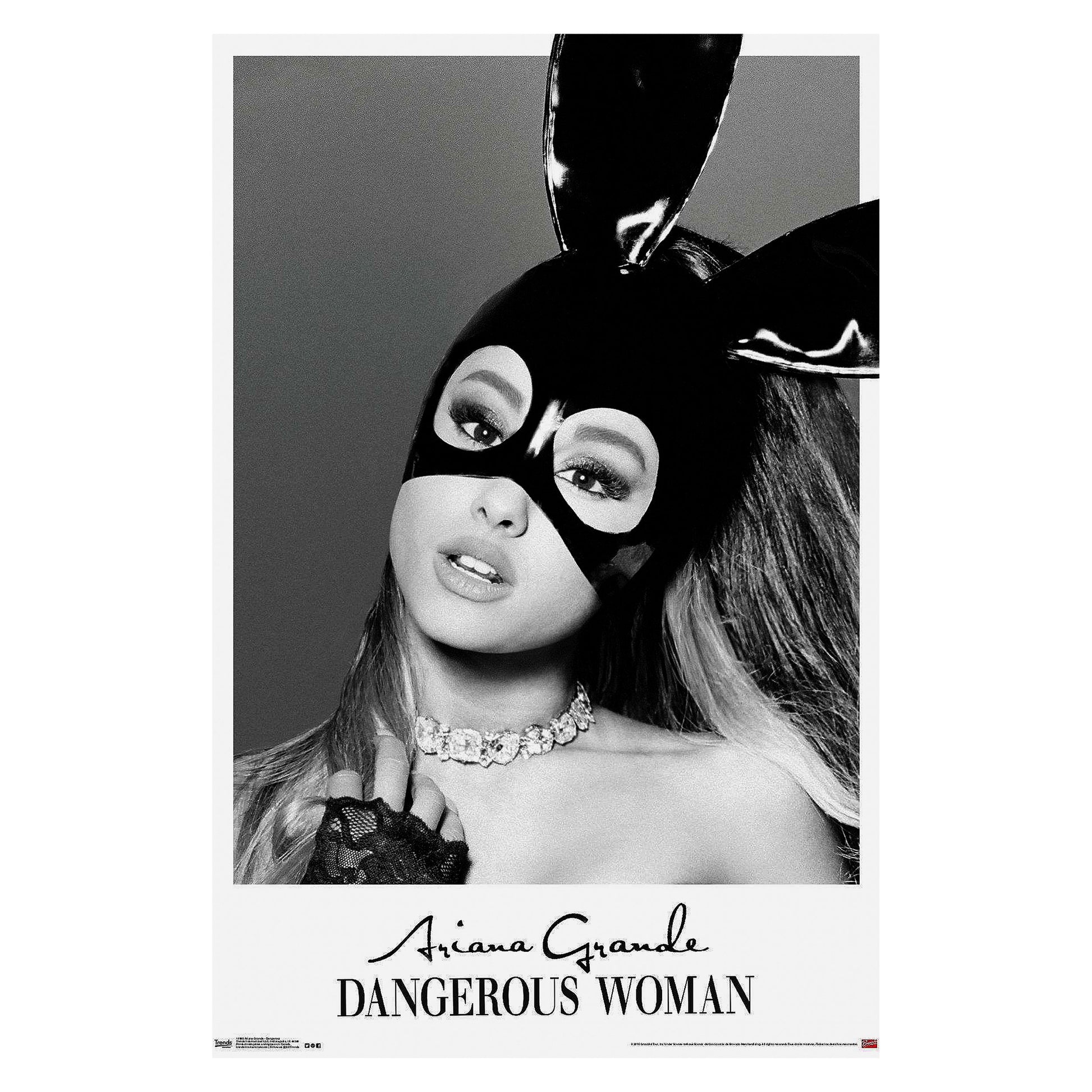 Dangerous Domestic Poster