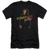 Powerage (Canvase Brand) Adult Slim Fit Slim Fit T-shirt