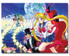 Moon Palace Group Anime Poster Flag