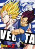 Vegeta Anime Poster Flag