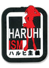 Haruhism Anime Magnet