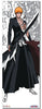 Ichigo Oversize Anime WallScroll