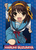 Suzumiya Coming Out Anime WallScroll